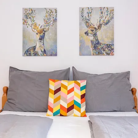 Berggefluester 公寓