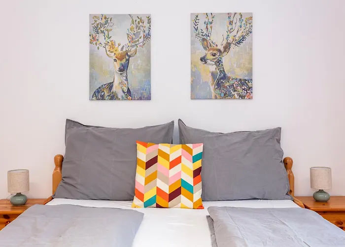 Berggefluester 公寓