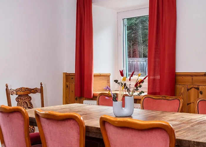 Berggefluester 公寓 *